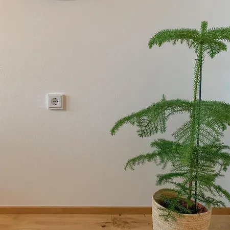 Gappmaier Zell am See